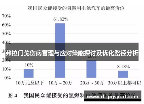 弗拉门戈伤病管理与应对策略探讨及优化路径分析