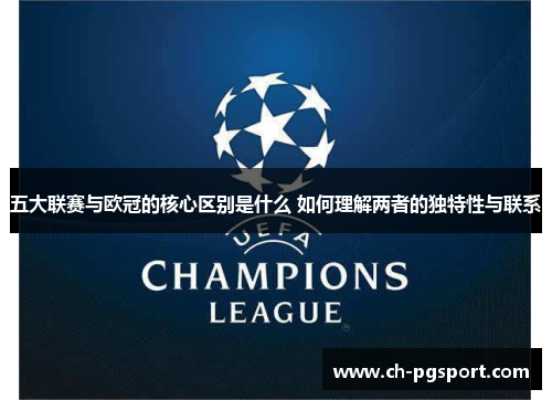 五大联赛与欧冠的核心区别是什么 如何理解两者的独特性与联系
