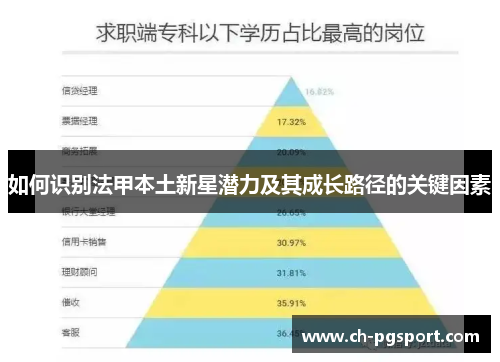 如何识别法甲本土新星潜力及其成长路径的关键因素