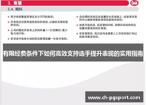 有限经费条件下如何高效支持选手提升表现的实用指南