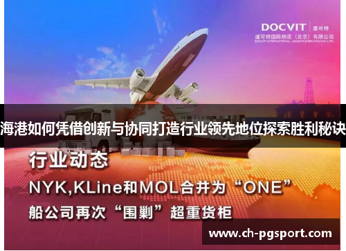 海港如何凭借创新与协同打造行业领先地位探索胜利秘诀