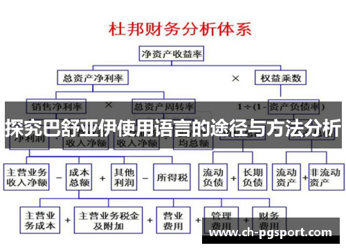 探究巴舒亚伊使用语言的途径与方法分析