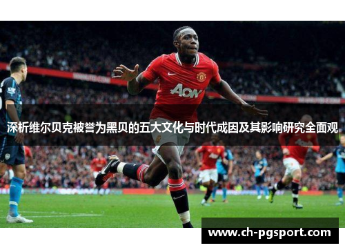 深析维尔贝克被誉为黑贝的五大文化与时代成因及其影响研究全面观