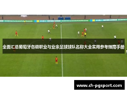 全面汇总葡萄牙各级职业与业余足球球队名称大全实用参考指南手册