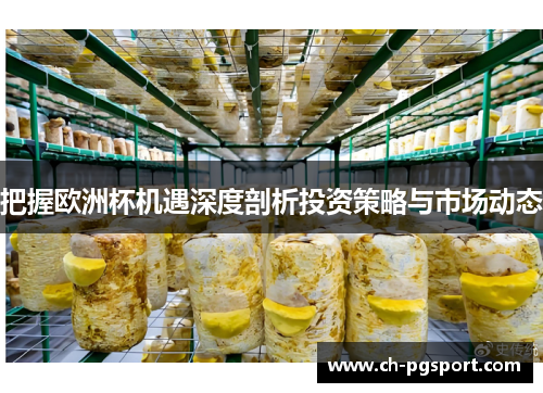 把握欧洲杯机遇深度剖析投资策略与市场动态
