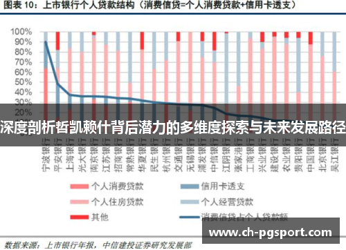 深度剖析哲凯赖什背后潜力的多维度探索与未来发展路径