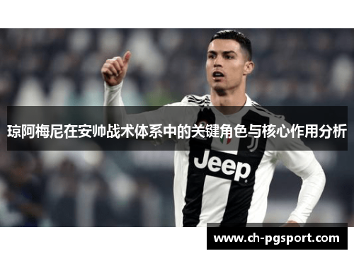 琼阿梅尼在安帅战术体系中的关键角色与核心作用分析